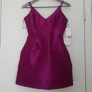Purple dress
